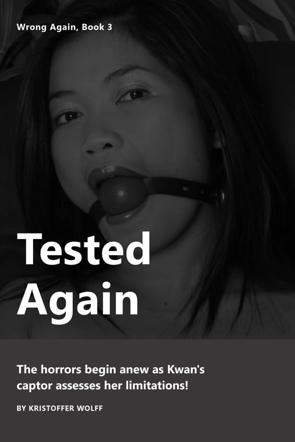 Tested Again (Wrong Again #3)